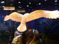P1030619.jpg