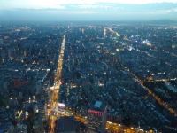P1030627.jpg