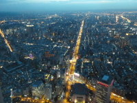 P1030635.jpg