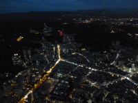 P1030646.jpg