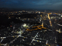 P1030647.jpg
