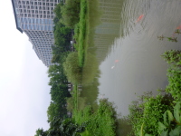 P1030693.jpg