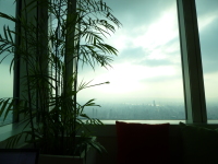 P1030733.jpg