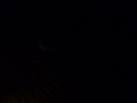 P1030746.jpg