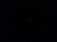 P1030748.jpg