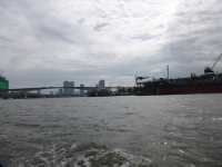 P1030803.jpg
