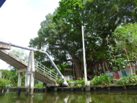 P1030819.jpg