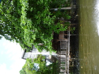 P1030835.jpg