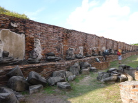 P1030965.jpg
