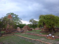 P1030988.jpg