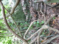 P1040040.jpg