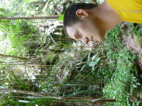 P1040042.jpg