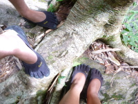 P1040043.jpg