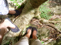 P1040044.jpg