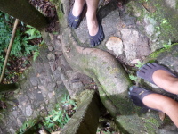 P1040047.jpg