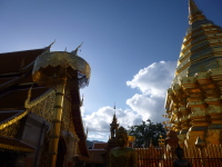 P1040096.jpg
