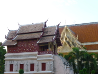 P1040109.jpg