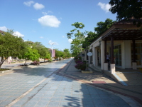 P1040196.jpg