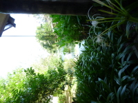 P1040200.jpg