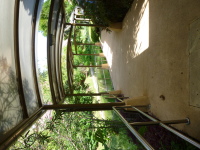 P1040201.jpg