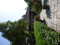 P1040203.jpg