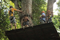 flight_of_the_gibbon_IMG_0001.jpg