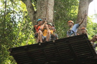 flight_of_the_gibbon_IMG_0005.jpg