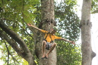 flight_of_the_gibbon_IMG_0010.jpg