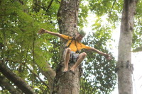flight_of_the_gibbon_IMG_0011.jpg