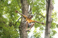 flight_of_the_gibbon_IMG_0012.jpg