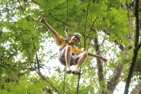 flight_of_the_gibbon_IMG_0013.jpg