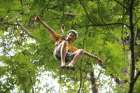 flight_of_the_gibbon_IMG_0014.jpg
