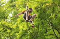 flight_of_the_gibbon_IMG_0016.jpg