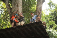 flight_of_the_gibbon_IMG_0017.jpg