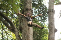 flight_of_the_gibbon_IMG_0020.jpg