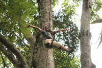 flight_of_the_gibbon_IMG_0021.jpg