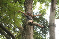 flight_of_the_gibbon_IMG_0022.jpg