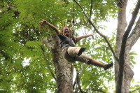 flight_of_the_gibbon_IMG_0024.jpg