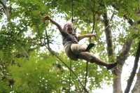 flight_of_the_gibbon_IMG_0025.jpg