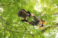 flight_of_the_gibbon_IMG_0087.jpg