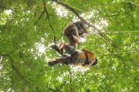 flight_of_the_gibbon_IMG_0088.jpg
