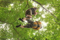 flight_of_the_gibbon_IMG_0090.jpg