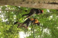 flight_of_the_gibbon_IMG_0092.jpg