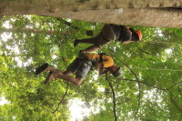 flight_of_the_gibbon_IMG_0093.jpg
