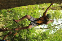 flight_of_the_gibbon_IMG_0096.jpg