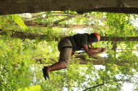 flight_of_the_gibbon_IMG_0099.jpg