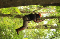flight_of_the_gibbon_IMG_0101.jpg