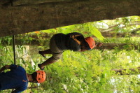 flight_of_the_gibbon_IMG_0102.jpg