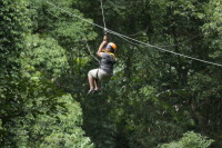 flight_of_the_gibbon_IMG_1602.jpg