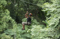 flight_of_the_gibbon_IMG_1606.jpg